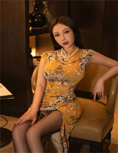 金马战士动画