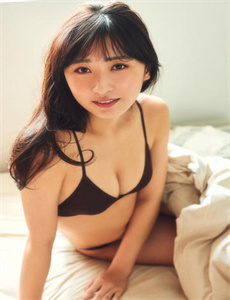 鹈鹕的故事2019